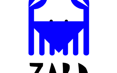 Laboratorul de artă conceptuală pentru copii și preadolescenți “ZARD ART LAB”